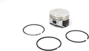 Piston con Anillos 557123 BRIGGS