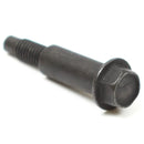Tornillo 590586 BRIGGS