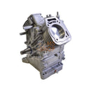 Medio Motor (Mod.35) 80083855 BRIGGS