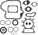 Juego Empaques Motor (sustituya a 799952) 84004406 BRIGGS