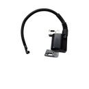 Modulo de Encendido Mod. 61 (Antes 845308, SC 84013938) 845601 BRIGGS