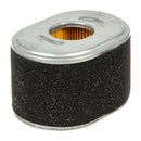 Filtro Aire (10U, 13U) 594146 BRIGGS