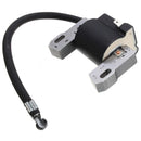 Modulo Encendido 797343 BRIGGS