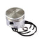 Piston Con Anillos Estandar (antes 393868) 499960 BRIGGS