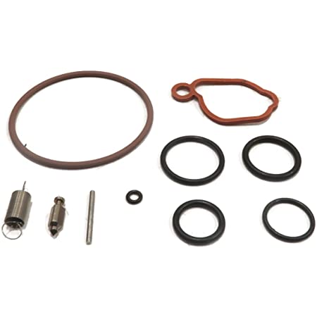 Kit Repuesto Carburador 590589 BRIGGS