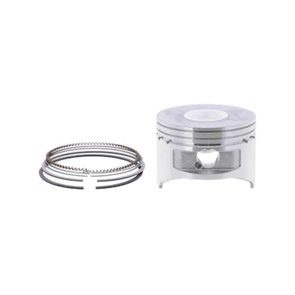 Piston Con Anillos Estandar (Mod. 19) 592613 BRIGGS