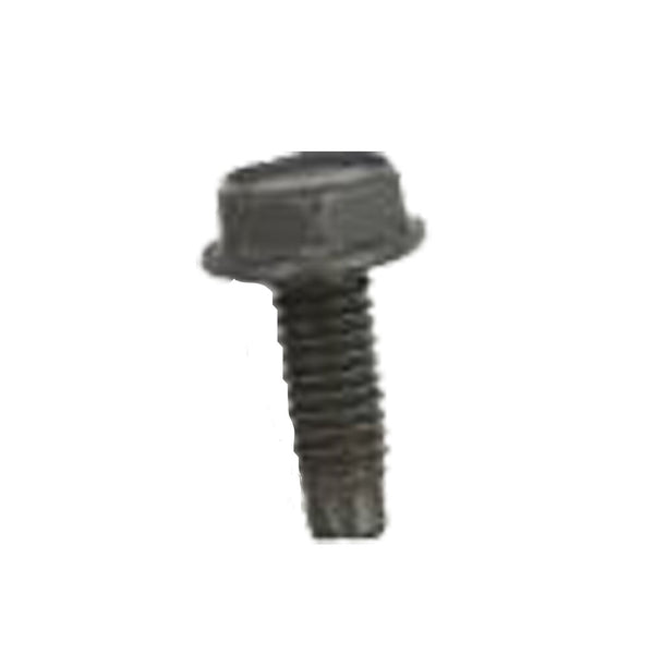 Tornillo 699776 BRIGGS