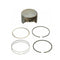 Piston con Anillos 020 793325 BRIGGS