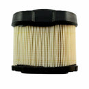 Filtro Cartucho Filtro De Aire 798748 BRIGGS