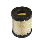 Filtro Cartucho Filtro De Aire 798897 BRIGGS