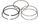 Juego Anillos Estandar (Mod. 61) 809972 BRIGGS