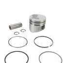 Piston STD 825796 BRIGGS