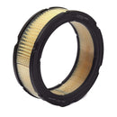 Filtro De Aire 841359 BRIGGS