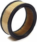 Filtro De Aire Cartucho  (Alterno: 692519) 841856 BRIGGS