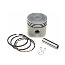 Piston Con Anillos .010 K91 46 874 03-S KOHLER