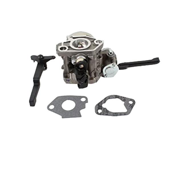 Kit Carburador Completo 62 853 45-S KOHLER